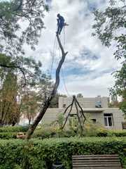 Спил дерева, покос травы , расчиска вывоз мусора Одесса