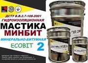 Минеральная мастика МИНБИТ Ecobit -2 ДСТУ Б В.2.7-108-2001 