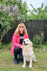 Цуценята золотистого ретрівера Ot Bahur.