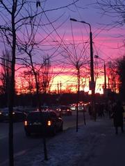 Машина Грузчики Україна