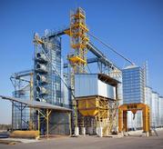 Услуги элеватора: сушка, очистка и хранение зерна. Киевская обл.