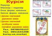 Курси перукар, манікюр і педикюр диплом пластиковий і сертифікат Криви