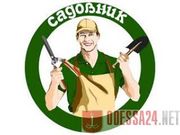 Садовник,  обрезка сада,  садовых деревьев,  уход за садом Одеса